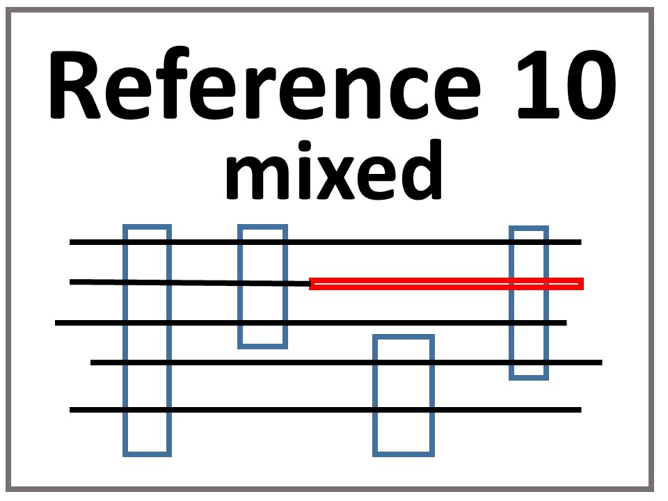 Reference 10