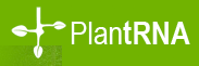 PlantRNA