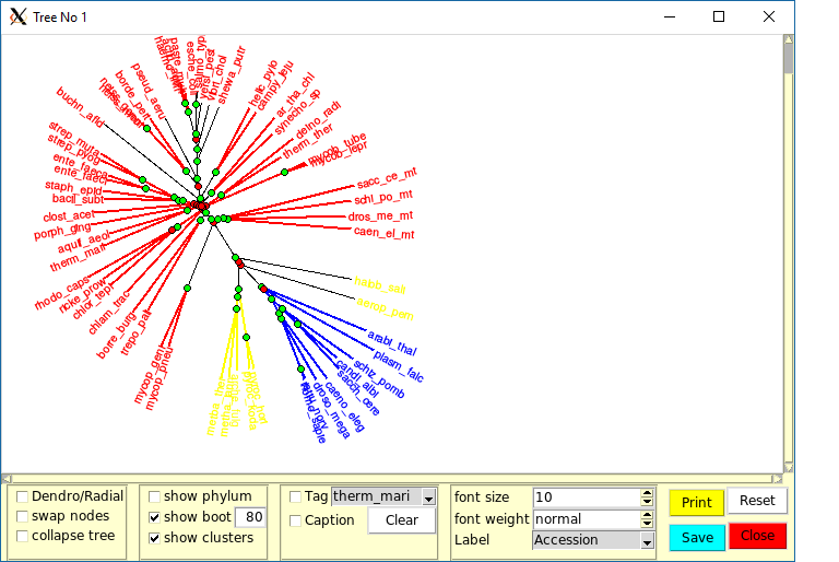 Image TreeWindow